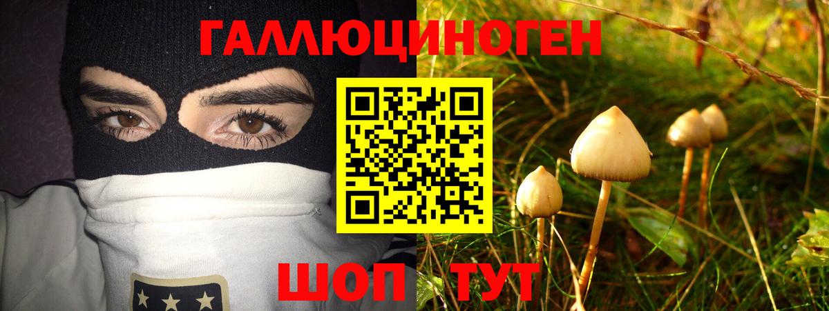 Псилоцибиновые грибы Magic Shrooms Михайловск