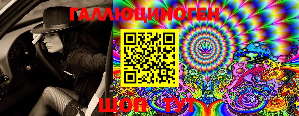 где продают   Вход с VPN  Михайловск  Галлюциногенные грибы MAGIC MUSHROOMS 